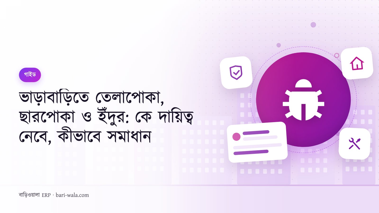 ভাড়াবাড়িতে তেলাপোকা, ছারপোকা ও ইঁদুর: কে দায়িত্ব নেবে, কীভাবে সমাধান